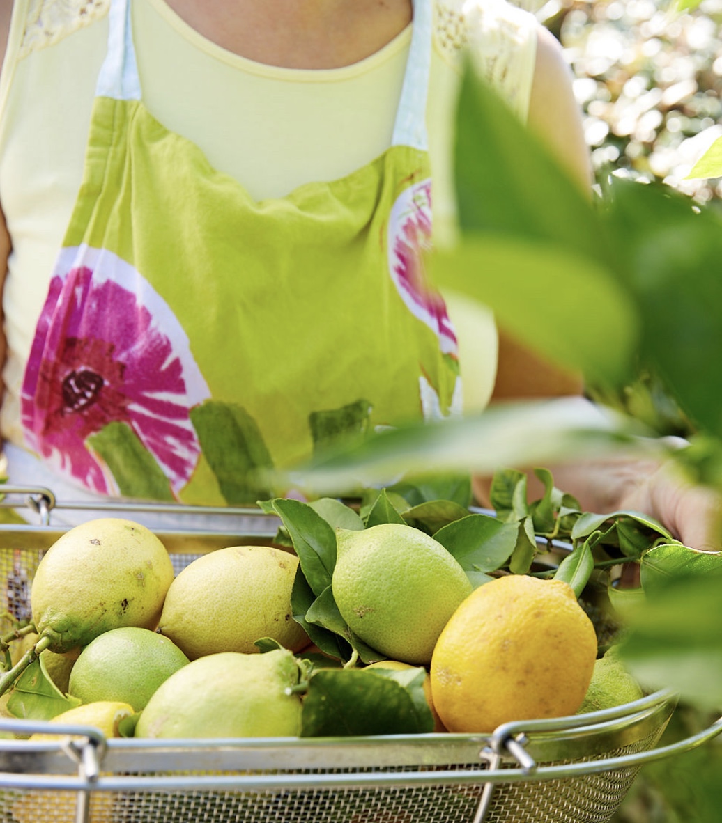 Mothers Apron Basket Lemon